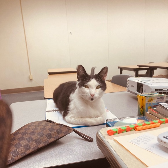 Meet your Posher, Nichole - Picture 1 of 1